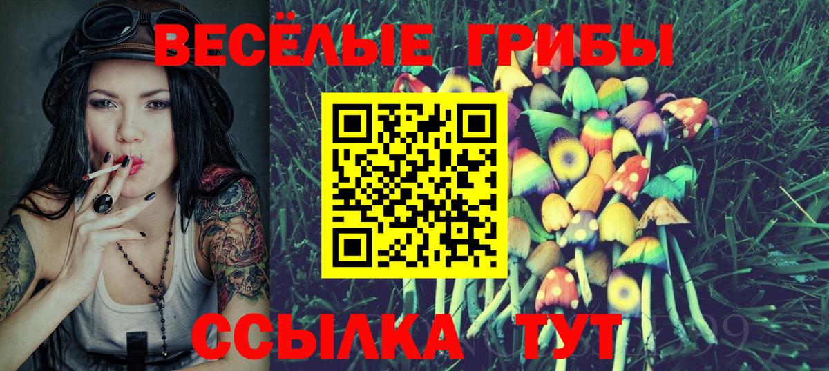 Галлюциногенные грибы Psilocybine cubensis Надым