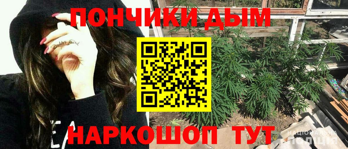 Бошки марихуана Bruce Banner Надым